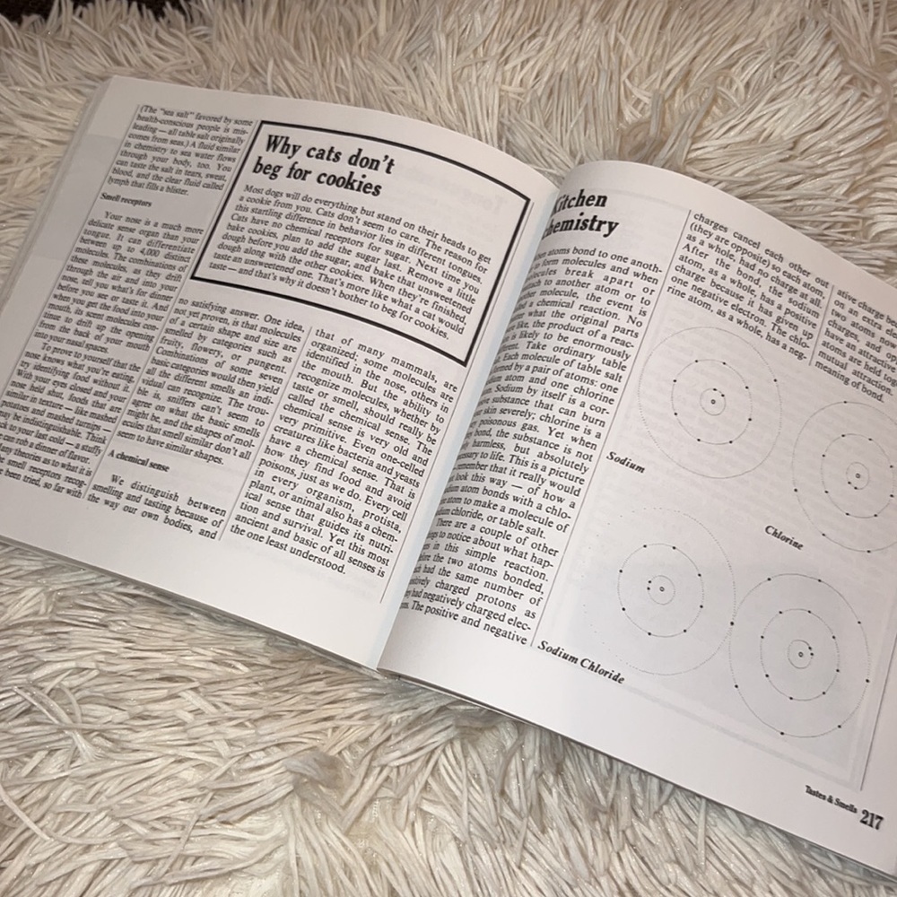The Science Book by Sara Stein feast for young science explorers and scientists - Picture 8 of 14
